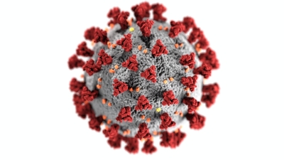 Scientists identify new antibody for Covid-19 and variants | Scientists identify new antibody for Covid-19 and variants