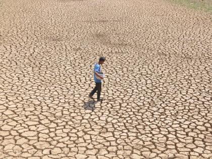 'Pray for rain': Bihar Agriculture Minister tells BJP leaders | 'Pray for rain': Bihar Agriculture Minister tells BJP leaders 'Pray for rain': Bihar Agriculture Minister tells BJP leaders | 'Pray for rain': Bihar Agriculture Minister tells BJP leaders