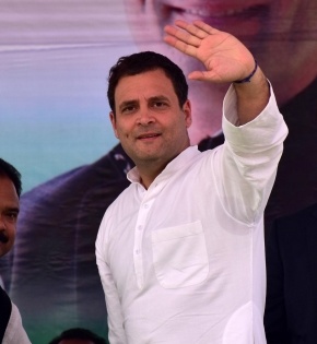 Delhi Cong passes resolution for Rahul as party chief | Delhi Cong passes resolution for Rahul as party chief