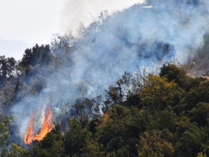 Firefighters battle raging wildfires in Syria amid harsh heat wave | Firefighters battle raging wildfires in Syria amid harsh heat wave Firefighters battle raging wildfires in Syria amid harsh heat wave | Firefighters battle raging wildfires in Syria amid harsh heat wave