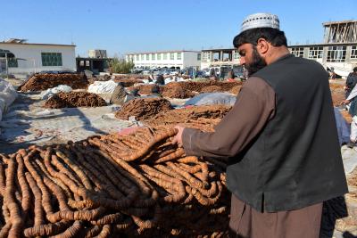 Food prices spike in Afghanistan amid COVID-19 crisis | Food prices spike in Afghanistan amid COVID-19 crisis