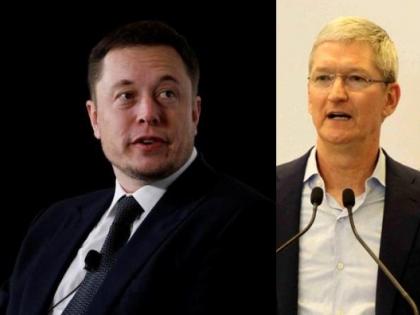 Musk to speak with Tim Cook about adjusting Apple tax | Musk to speak with Tim Cook about adjusting Apple tax Musk to speak with Tim Cook about adjusting Apple tax | Musk to speak with Tim Cook about adjusting Apple tax