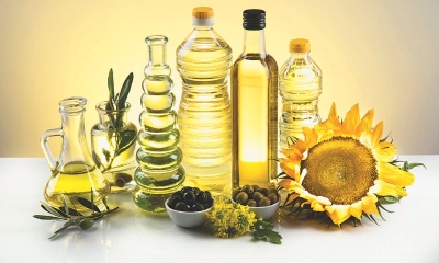 Centre's intervention helped keep edible oil prices in check: Govt | Centre's intervention helped keep edible oil prices in check: Govt
