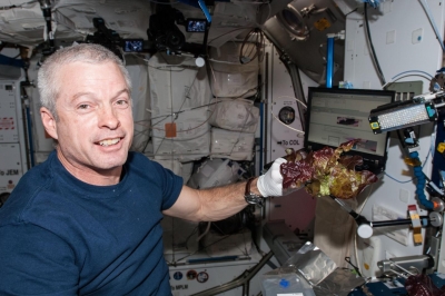 ISS astronauts grow Earth-like fresh lettuce in space | ISS astronauts grow Earth-like fresh lettuce in space