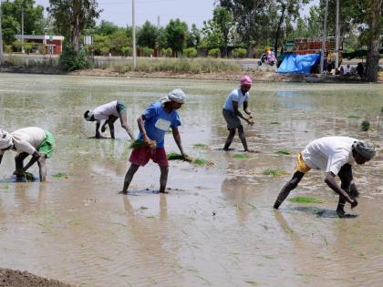Erratic monsoon fuels inflation, affects rural demand: CARE Ratings | Erratic monsoon fuels inflation, affects rural demand: CARE Ratings Erratic monsoon fuels inflation, affects rural demand: CARE Ratings | Erratic monsoon fuels inflation, affects rural demand: CARE Ratings