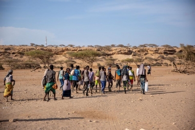 IOM needs $93.4 mn in funds for Horn of Africa | IOM needs $93.4 mn in funds for Horn of Africa