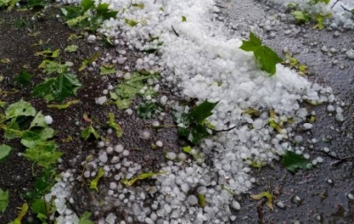 Hailstorms in central India, wet spell for northwest to continue | Hailstorms in central India, wet spell for northwest to continue
