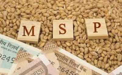 NCDC sanctions Rs 19,444 cr to states as first tranche for MSP operations | NCDC sanctions Rs 19,444 cr to states as first tranche for MSP operations