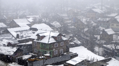Snowfall in Kashmir damages apple orchards, cripples life | Snowfall in Kashmir damages apple orchards, cripples life