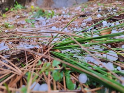 Hailstorm brings respite from heat in J-K's Udhampur | Hailstorm brings respite from heat in J-K's Udhampur