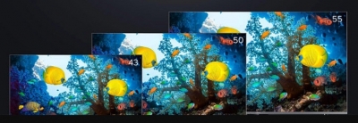 Xiaomi Mi TV 5X in 3 different sizes launched in India | Xiaomi Mi TV 5X in 3 different sizes launched in India