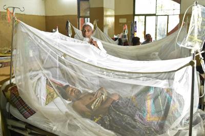 Bangladesh reports highest single-day dengue cases | Bangladesh reports highest single-day dengue cases
