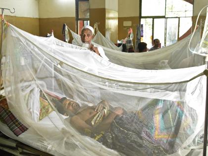 B'desh registers 2nd highest single-day dengue deaths of 2023 | B'desh registers 2nd highest single-day dengue deaths of 2023 B'desh registers 2nd highest single-day dengue deaths of 2023 | B'desh registers 2nd highest single-day dengue deaths of 2023