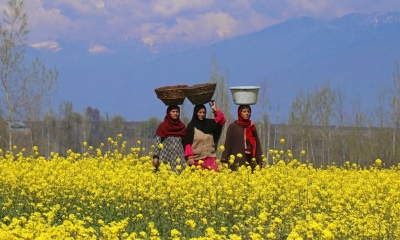 Agriculture, allied sectors get Rs 3,156 cr in J&K 2023-24 Budget | Agriculture, allied sectors get Rs 3,156 cr in J&K 2023-24 Budget