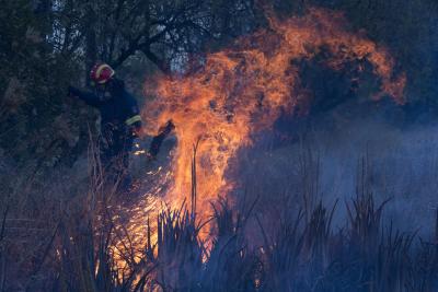 Wildfire in Greece injures 16 people | Wildfire in Greece injures 16 people