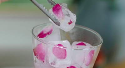 Beauty ice cubes: New trend for glowing skin | Beauty ice cubes: New trend for glowing skin