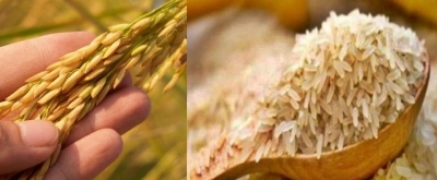 Conflict in Ukraine adds to global food security threat: WFP | Conflict in Ukraine adds to global food security threat: WFP Conflict in Ukraine adds to global food security threat: WFP | Conflict in Ukraine adds to global food security threat: WFP