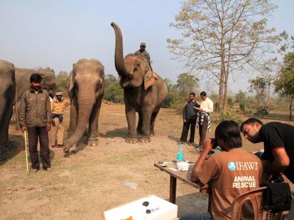 Assam’s Manas National Park to reopen on Oct 1 | Assam’s Manas National Park to reopen on Oct 1 Assam’s Manas National Park to reopen on Oct 1 | Assam’s Manas National Park to reopen on Oct 1