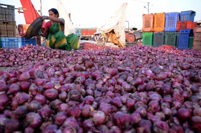 Govt directs NCCF, NAFED to start buying 5 lakh tonnes of onion directly from farmers | Govt directs NCCF, NAFED to start buying 5 lakh tonnes of onion directly from farmers