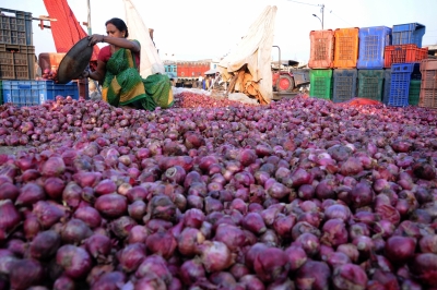RBI to wait for stronger growth signals before rate cut as inflation cools: Economists | RBI to wait for stronger growth signals before rate cut as inflation cools: Economists RBI to wait for stronger growth signals before rate cut as inflation cools: Economists | RBI to wait for stronger growth signals before rate cut as inflation cools: Economists