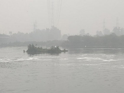 Toxic foam continues to float near Yamuna River bank in Delhi | Toxic foam continues to float near Yamuna River bank in Delhi