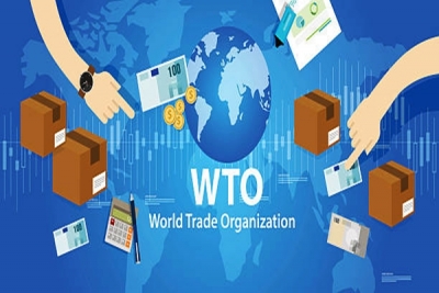 WTO's 12th ministerial meeting opens in Geneva to tackle key issues | WTO's 12th ministerial meeting opens in Geneva to tackle key issues