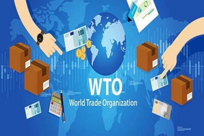 India makes strong pitch for restoration of Appellate Body at WTO | India makes strong pitch for restoration of Appellate Body at WTO India makes strong pitch for restoration of Appellate Body at WTO | India makes strong pitch for restoration of Appellate Body at WTO