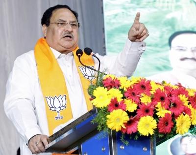BJP will face polls in K'taka with development report card: Nadda | BJP will face polls in K'taka with development report card: Nadda
