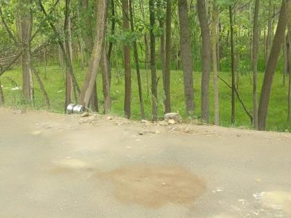 AK-47 rifle used in firing at forest department employees in J&K's Pulwama | AK-47 rifle used in firing at forest department employees in J&K's Pulwama