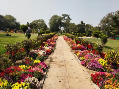 Delhi's Barakhamba blooms with Petunia | Delhi's Barakhamba blooms with Petunia