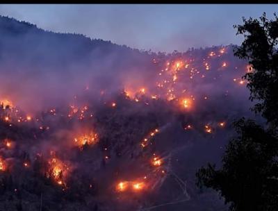 Massive fire sweeps chilgoza pine forest in Himachal | Massive fire sweeps chilgoza pine forest in Himachal Massive fire sweeps chilgoza pine forest in Himachal | Massive fire sweeps chilgoza pine forest in Himachal