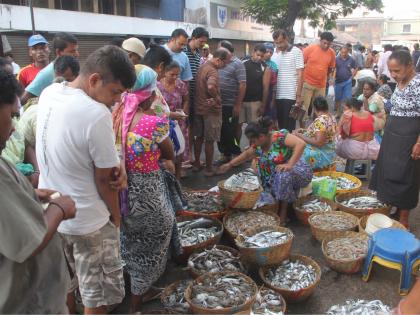 Three held for demanding protection money from fish agents in Goa | Three held for demanding protection money from fish agents in Goa Three held for demanding protection money from fish agents in Goa | Three held for demanding protection money from fish agents in Goa