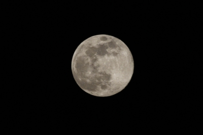 China might be contemplating a 'takeover' of the Moon, says NASA administrator | China might be contemplating a 'takeover' of the Moon, says NASA administrator