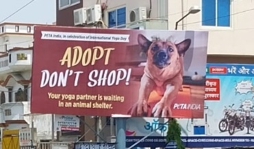 PETA urges people to adopt a 'Yoga buddy' from animal shelter | PETA urges people to adopt a 'Yoga buddy' from animal shelter