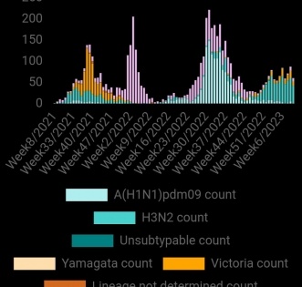 With H3N2 as predominant sub-type, combination of viruses causing infections | With H3N2 as predominant sub-type, combination of viruses causing infections
