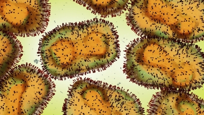 Study decodes how mpox virus infiltrates brain cells | Study decodes how mpox virus infiltrates brain cells