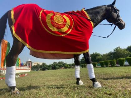 ITBP awards medals to its best dog, horse | ITBP awards medals to its best dog, horse