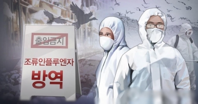 S. Korea suspends imports of Brazilian poultry after bird flu outbreak at chicken farm | S. Korea suspends imports of Brazilian poultry after bird flu outbreak at chicken farm S. Korea suspends imports of Brazilian poultry after bird flu outbreak at chicken farm | S. Korea suspends imports of Brazilian poultry after bird flu outbreak at chicken farm