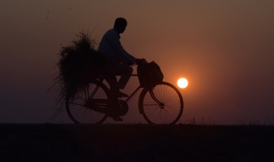Man paddles 1,350km on rickshaw to reach home | Man paddles 1,350km on rickshaw to reach home