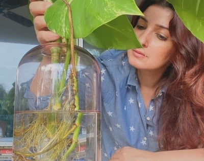 Twinkle Khanna loves to 'potter around' with her plants | Twinkle Khanna loves to 'potter around' with her plants