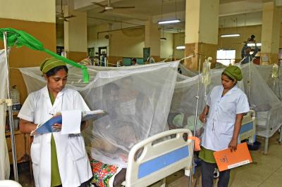 Bangladesh: Five more people die of dengue, 2025 death toll crosses 390 | Bangladesh: Five more people die of dengue, 2025 death toll crosses 390