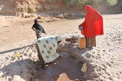 WFP warns drought leading to food insecurity, acute malnutrition in Horn of Africa | WFP warns drought leading to food insecurity, acute malnutrition in Horn of Africa