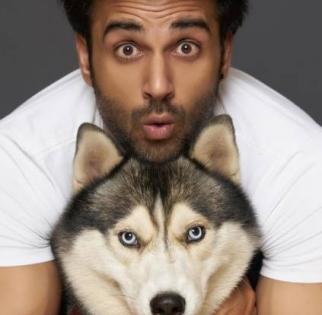 Celebrity pet parents | Celebrity pet parents