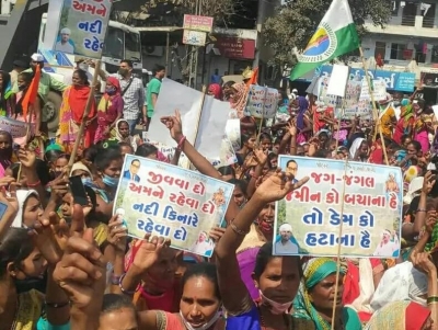 Political parties trying to woo 'game-changing' tribals in poll-bound Gujarat | Political parties trying to woo 'game-changing' tribals in poll-bound Gujarat