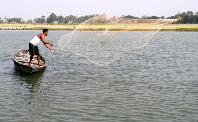 Gujarat fishermen in trouble due to polluted rivers and problematic regulations | Gujarat fishermen in trouble due to polluted rivers and problematic regulations