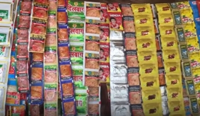 TN government to appeal Madras HC order quashing gutkha ban | TN government to appeal Madras HC order quashing gutkha ban