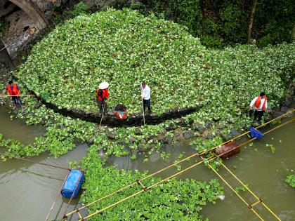 Over 37,000 alien species, comprising India’s hyacinth, pose threat to nature globally: IPBES | Over 37,000 alien species, comprising India’s hyacinth, pose threat to nature globally: IPBES Over 37,000 alien species, comprising India’s hyacinth, pose threat to nature globally: IPBES | Over 37,000 alien species, comprising India’s hyacinth, pose threat to nature globally: IPBES