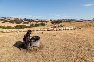 2022 becomes New Zealand's warmest year on record | 2022 becomes New Zealand's warmest year on record