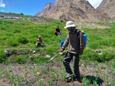 Promoting agriculture in Himachal by going back to roots | Promoting agriculture in Himachal by going back to roots