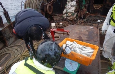 Chinese officials swabbing fish mouths, underside of crabs for Covid: Report | Chinese officials swabbing fish mouths, underside of crabs for Covid: Report